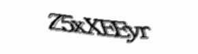 Security check image, please type the characters shown